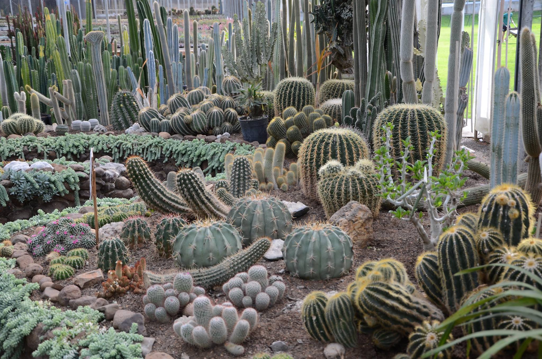 12017449_1755690481325329_260261323403446068_o