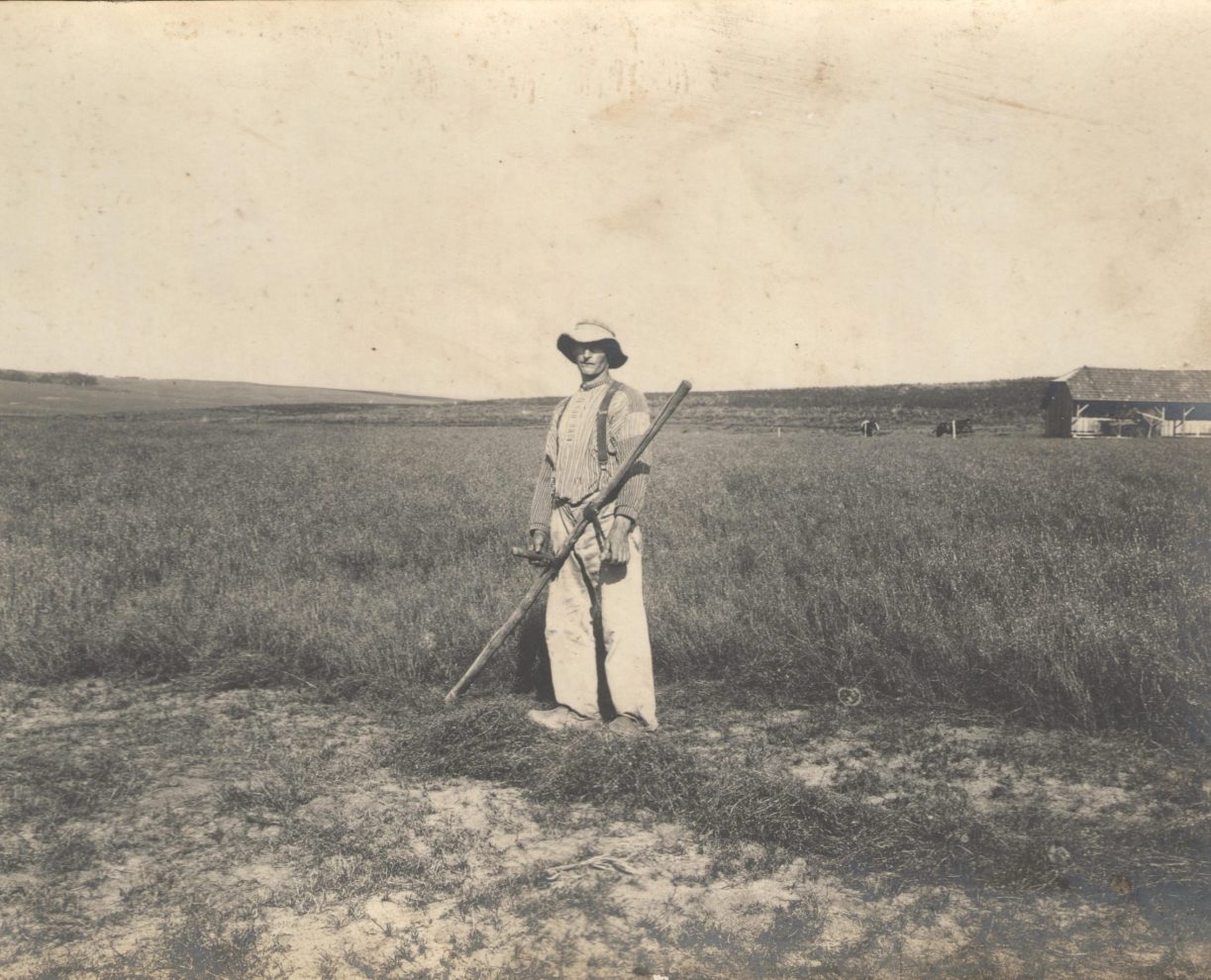 Exposição O Imigrante e a Paisagem dos Campos Gerais - Auguste de Saint-Hilaire