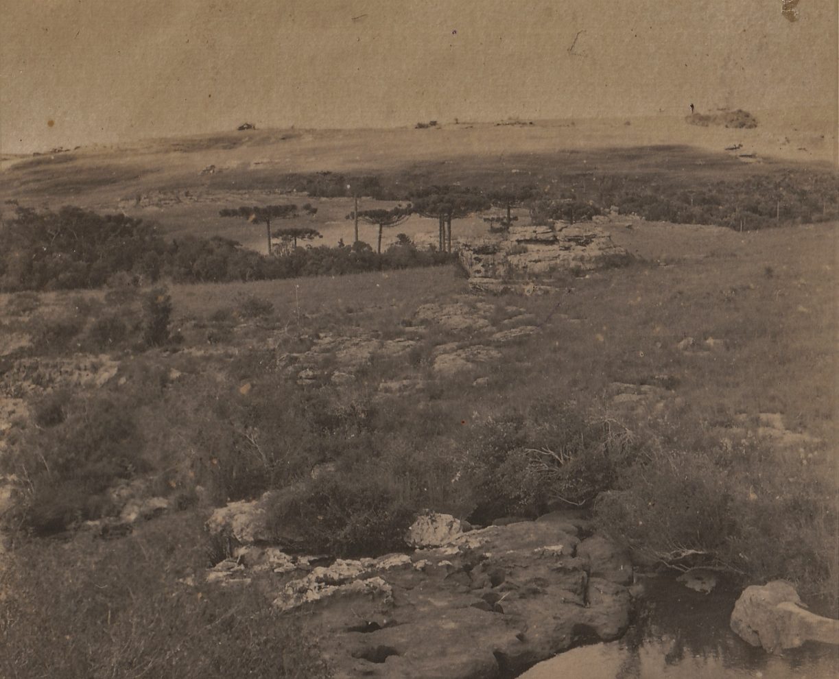 Exposição O Imigrante e a Paisagem dos Campos Gerais